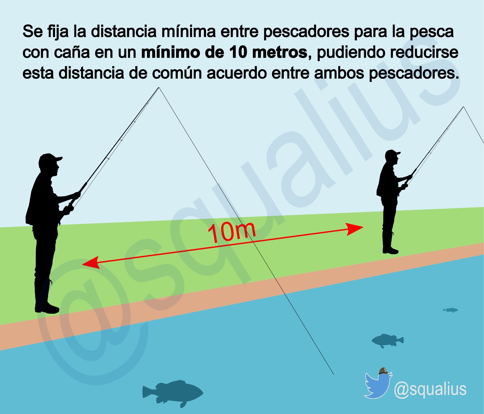 Ag. Forestal MADRID on X: ℹ️ #InfoPesca #Madrid #Pesca🎣 Recuerda que la  distancia entre pecadores para la #pesca con caña, es de un mínimo de 10  metros. 🎣🙂⬅️ 10 m. ➡️🎣🙂 #AgentesForestalesCM