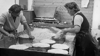 nyccarchives's tweet photo. For #HBAHWork today we have #cheese making in #Hawes
Did you work in an artisan trade? Ask someone about their work memories today #HistoryBeginsAtHome
These are a selection of images showing various stages in the cheesemaking process, you can see more https://t.co/RBV8Q0Tkd1 https://t.co/Y0kBoyu7SM