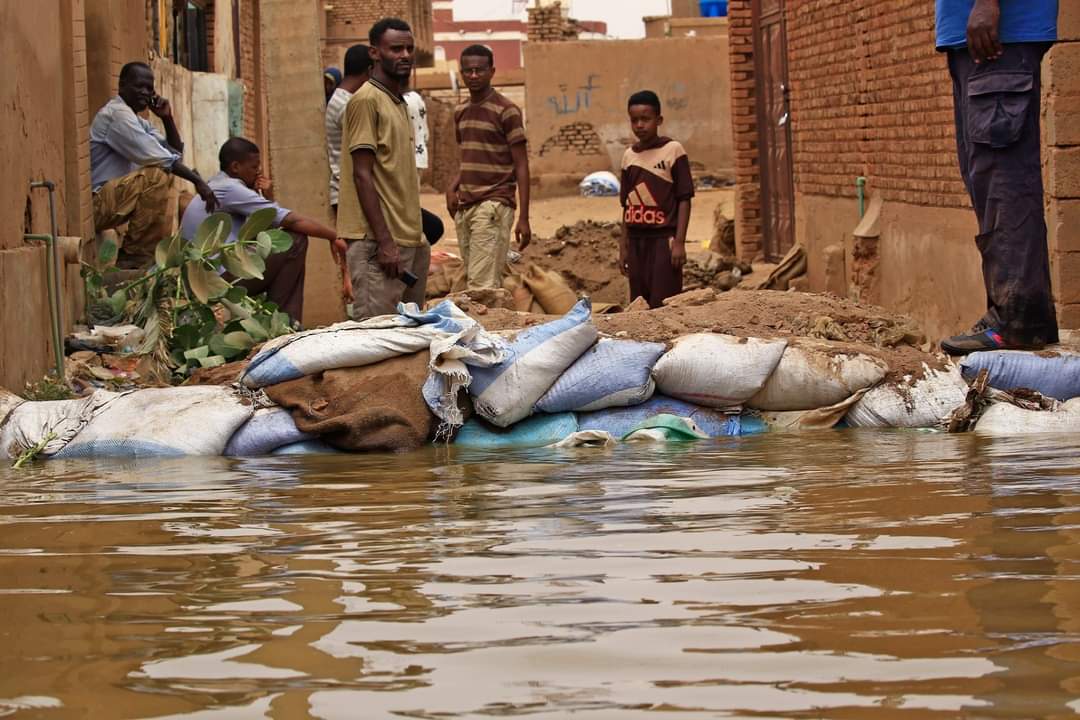 jazeera_urdu's tweet photo. سوڈان نے مہلک سیلاب کے باعث 3 ماہ کی قومی ہنگامی صورت حال کا اعلان کردیا :الجزیرہ_اردو 👇👇👇https://t.co/HWrGvagtsm https://t.co/XlMDV63Pt1