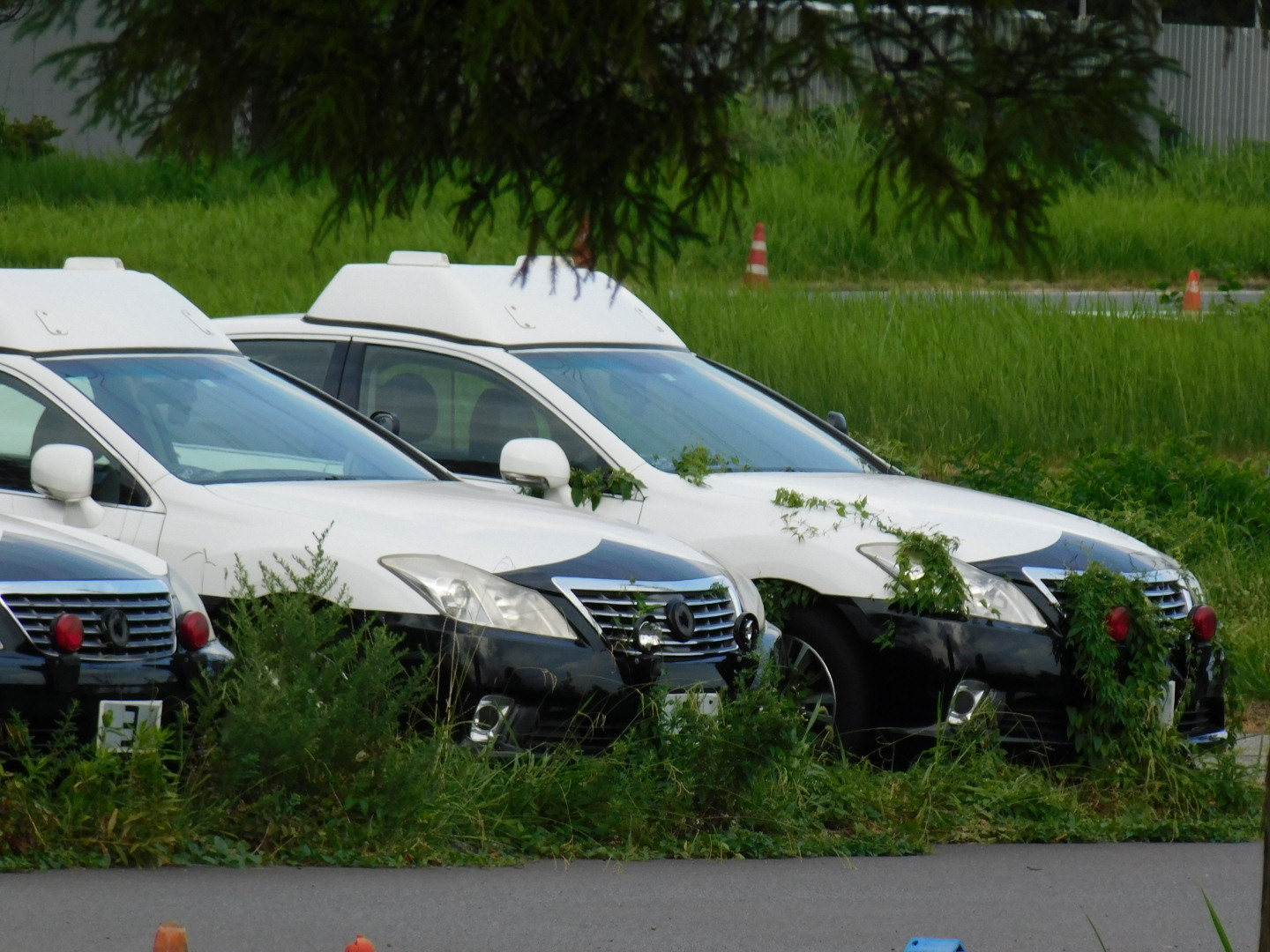 トヨタハイブリ 千葉県警 パトカー廃車置き場 もうすぐ旅立つパトカーを撮影していると徐々に心が痛くなってきますね 今までありがとう トヨタハイブリ 千葉県警 パトカー廃車置き場 もうすぐ旅立つパトカーを撮影していると徐々に心が痛くなってきますね 今までありがとう