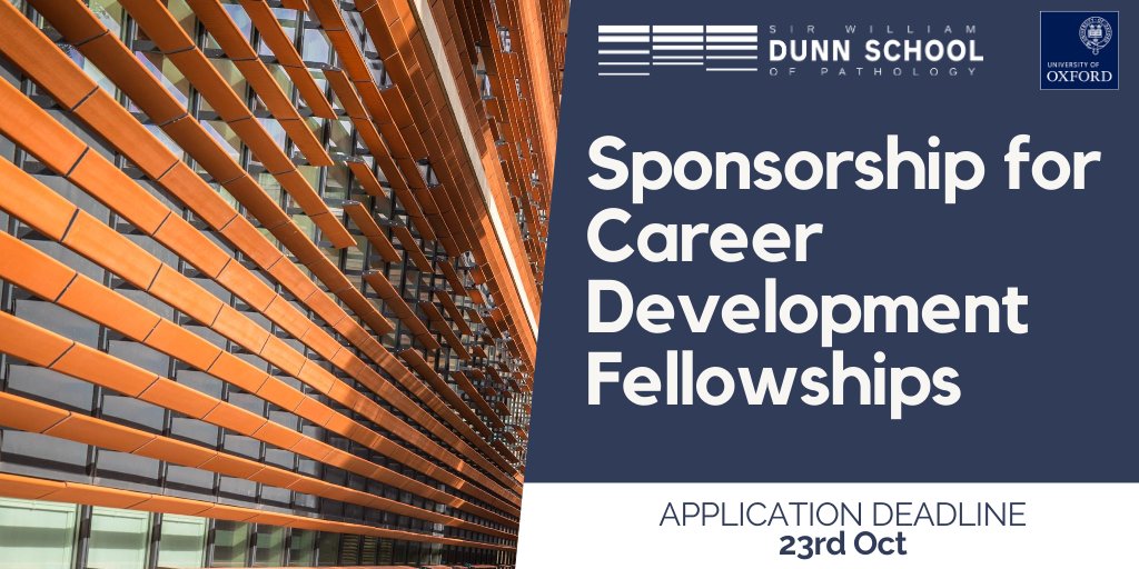 Dunn_School (now @DunnSchool.bsky.social) tweet media