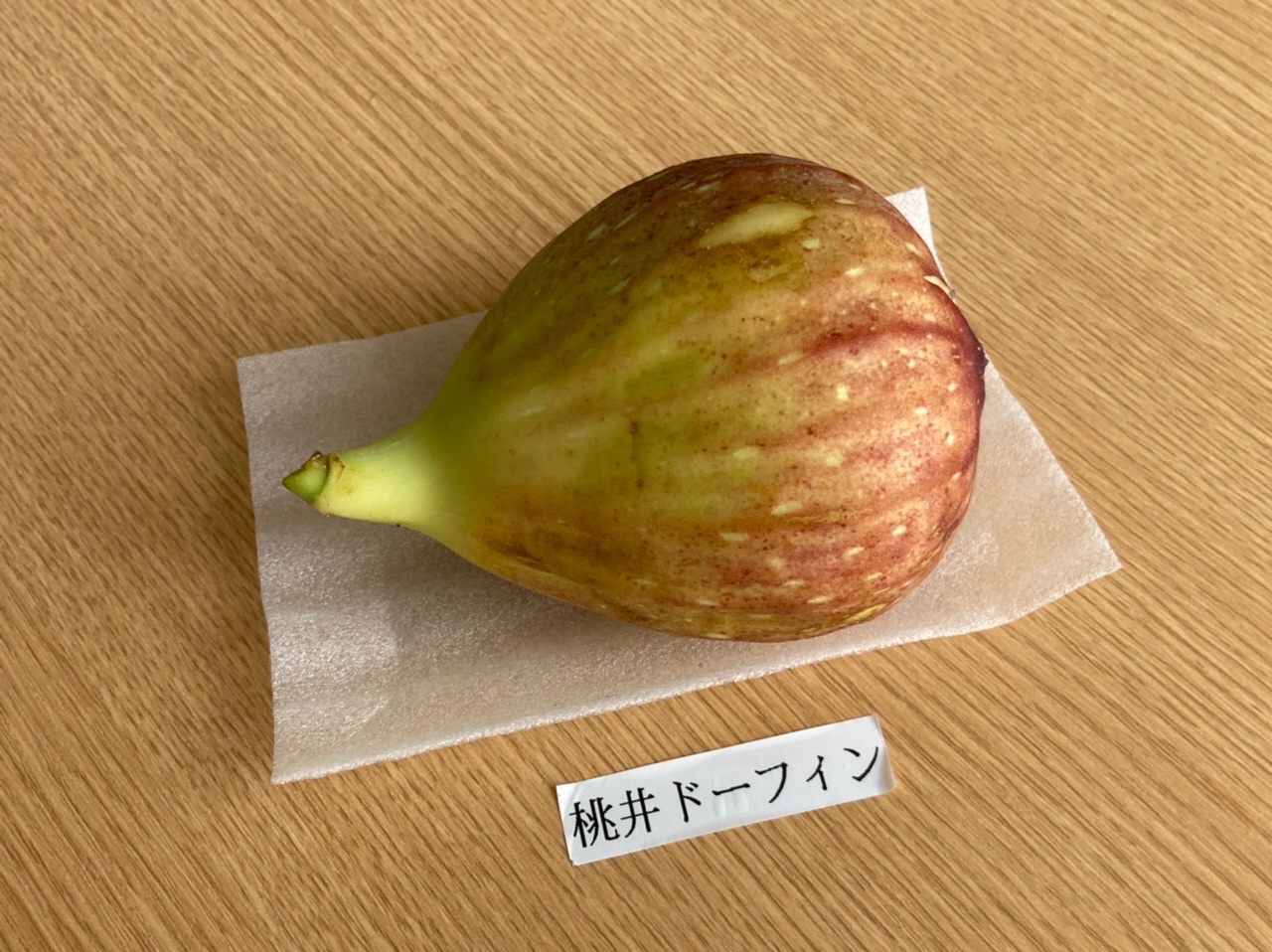 竹下大学 日本の品種はすごい うまい植物をめぐる物語 近所の農産物直売所で買ったイチジク 1個302円也 桃井 ドーフィン という品種名に惹かれて買ったんだけど お味は残念 昔の記憶通りのおばあちゃんに通じるキボシカミキリを捕まえた時の