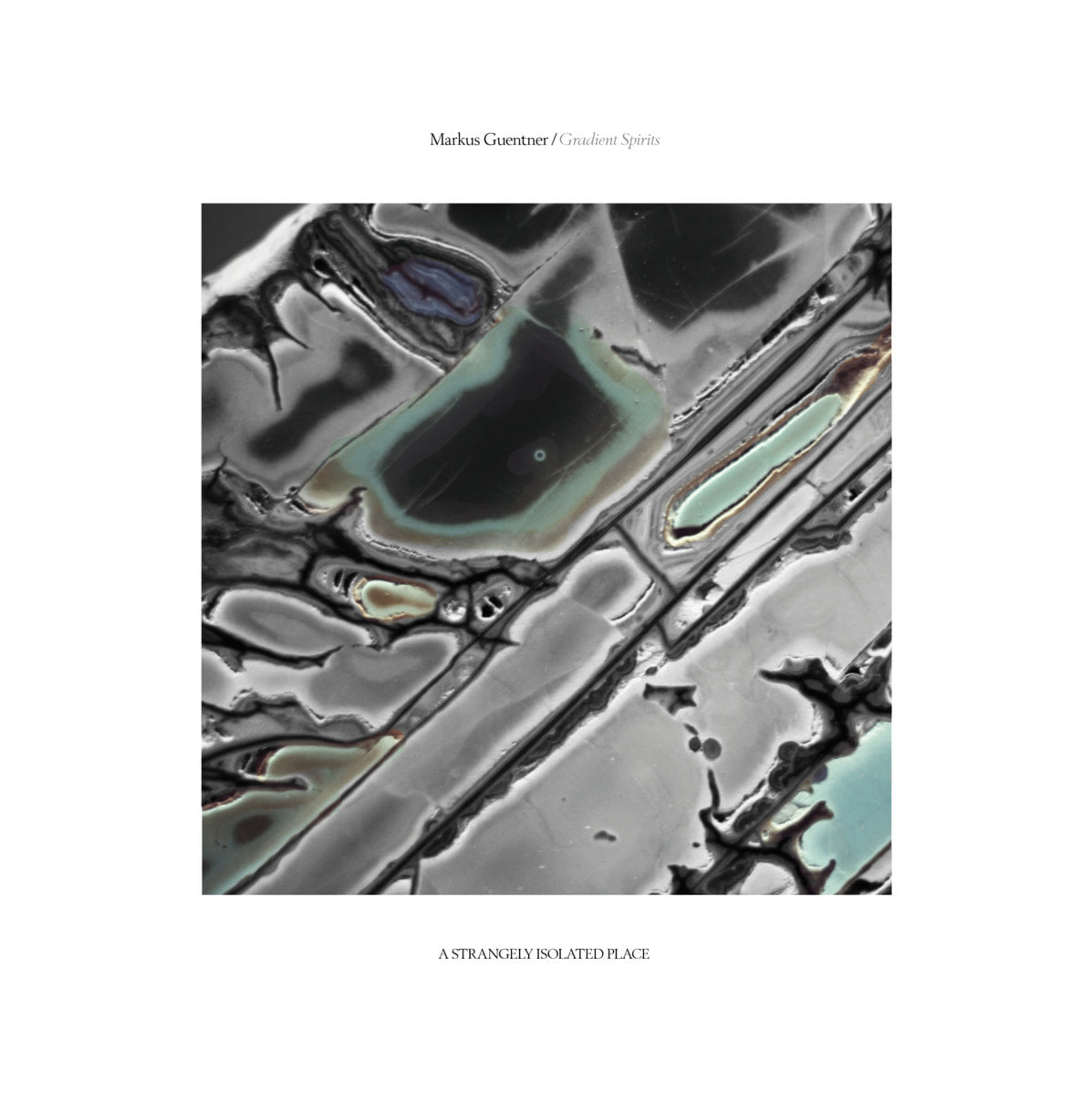 biofoonia's tweet photo. Markus Guentner - Gradient Spirits (A Strangely Isolated Place) (reviewed by the Data.Wave webzine)

"The result of Guentner's improvisation is a high quality dark ambient composition..."

Read full review: https://t.co/UYXgFZSvy1 

#ambient #drone #electronica #modernclassical https://t.co/oMIIVvVM1V