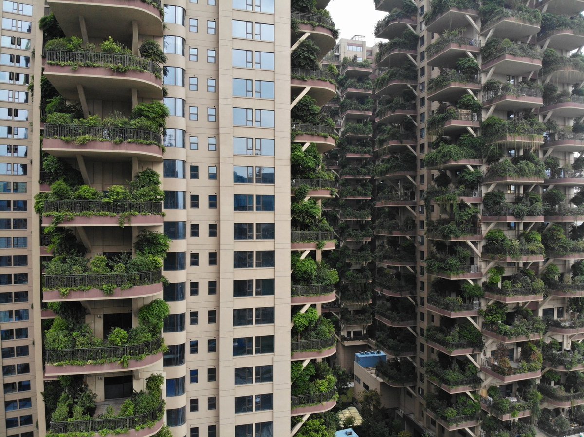 Bu da dikine bir orman 
Chengdu daki 3p katlı sekiz bina yeşillikler içinde 

👇👇👇
#China #OrmanCandır #forest