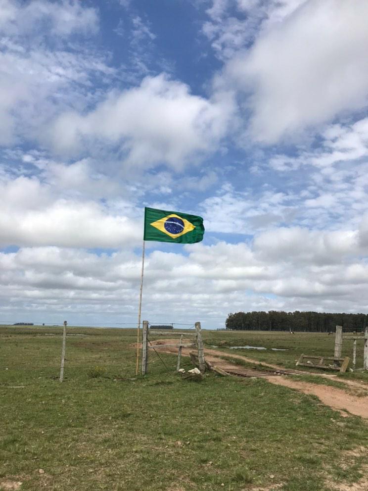 TerezaCrisMS's tweet photo. Produtores rurais do nosso Brasil!🇧🇷💚💛 #Produtorpatriota2020 #produtorpatriota #agro https://t.co/ROI5ow9cNb