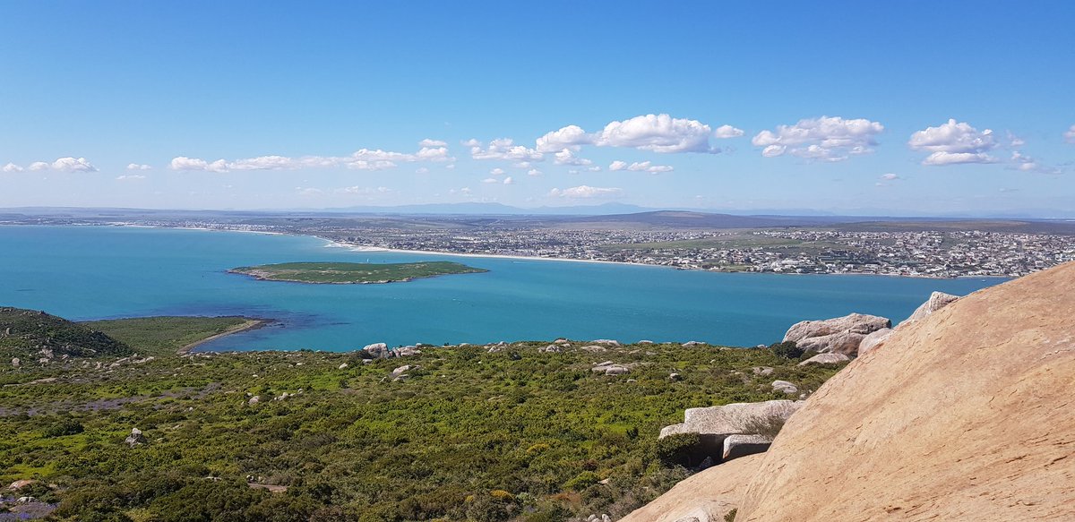 CanExplore's tweet photo. Had such an incredible day at @WestCoastNP 😁🌼

(Warning: flower spam incoming)

#gowestcoastway #WeskusBeskus https://t.co/kg4MYg51UD