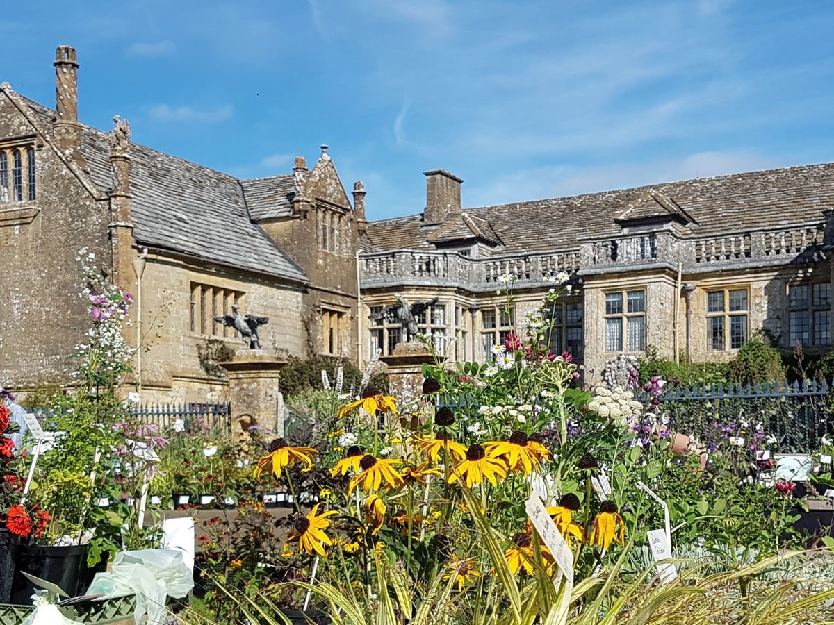 PlantFairs_com's tweet photo. Book your tickets for our final Plant fair of 2020 at Mapperton on 20th September. We have 18 lovely stalls well spaced for everyone's safety
Prebooked tickets from 10am &amp;  11am closes 4pm
book tickets at
https://t.co/XQzZmnj6bu
Prebooked tickets will be given priority for entry https://t.co/mQ6wgqp6gx