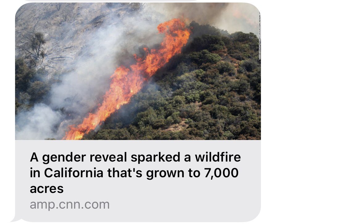 EmmaTattenbaum's tweet image. The latest casualty of the #genderbinary .