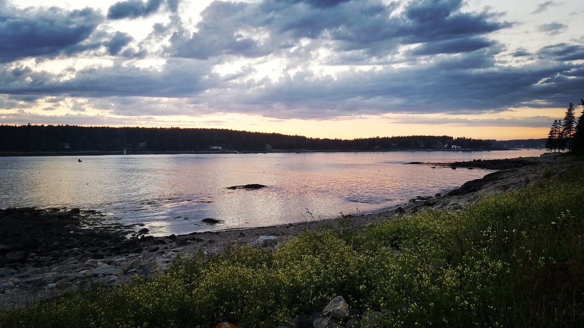 TennysonMD's tweet photo. Some recent pictures
#PortClyde
#MarshallPoint
#Lighthouse
#Maine https://t.co/YbOX7MNTLU