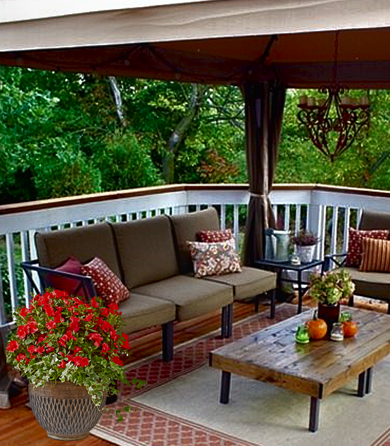 DejaBloomAzalea's tweet photo. Happy Labor Day! How are you spending your holiday? We recommend relaxing with a good book and a cool beverage while admiring the beautiful blooms of your Déjà Bloom Azaleas! Enjoy!
#laborday #dejabloomazaleas #gardening #containergarden https://t.co/lrghqf5rYT