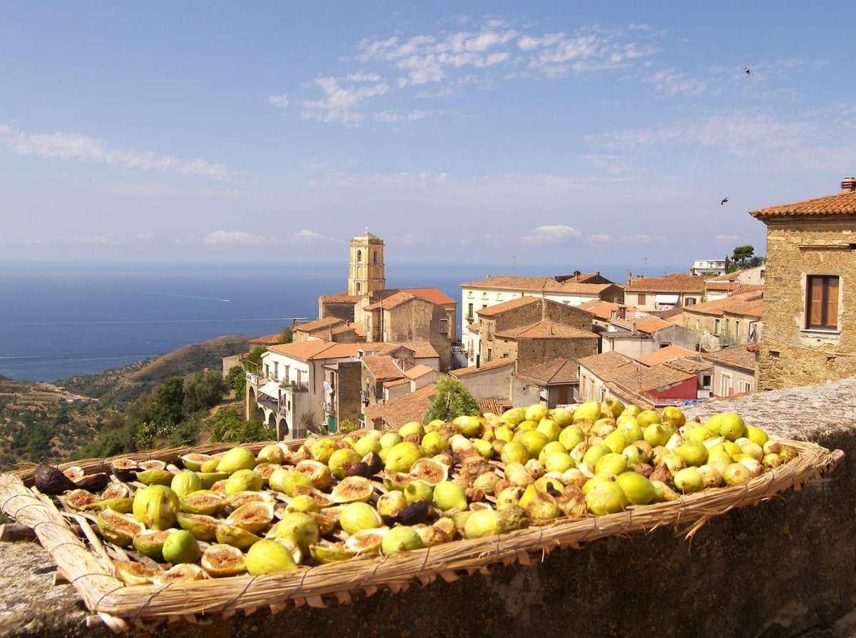 VIVIAMOCILENTO's tweet photo. Immaginate un primo piatto che abbia come ingrediente i fichi bianchi.
Lo troverete a Gli Orti dei Centenari per l'aperitivo slow, subito dopo le passeggiate!
11 Settembre: Percorso Parmenide e Zenone
12 Settembre: Che il cibo sia la tua medicina!
Prenotazione al 331 89 79 246 https://t.co/BnOEPrnnFq
