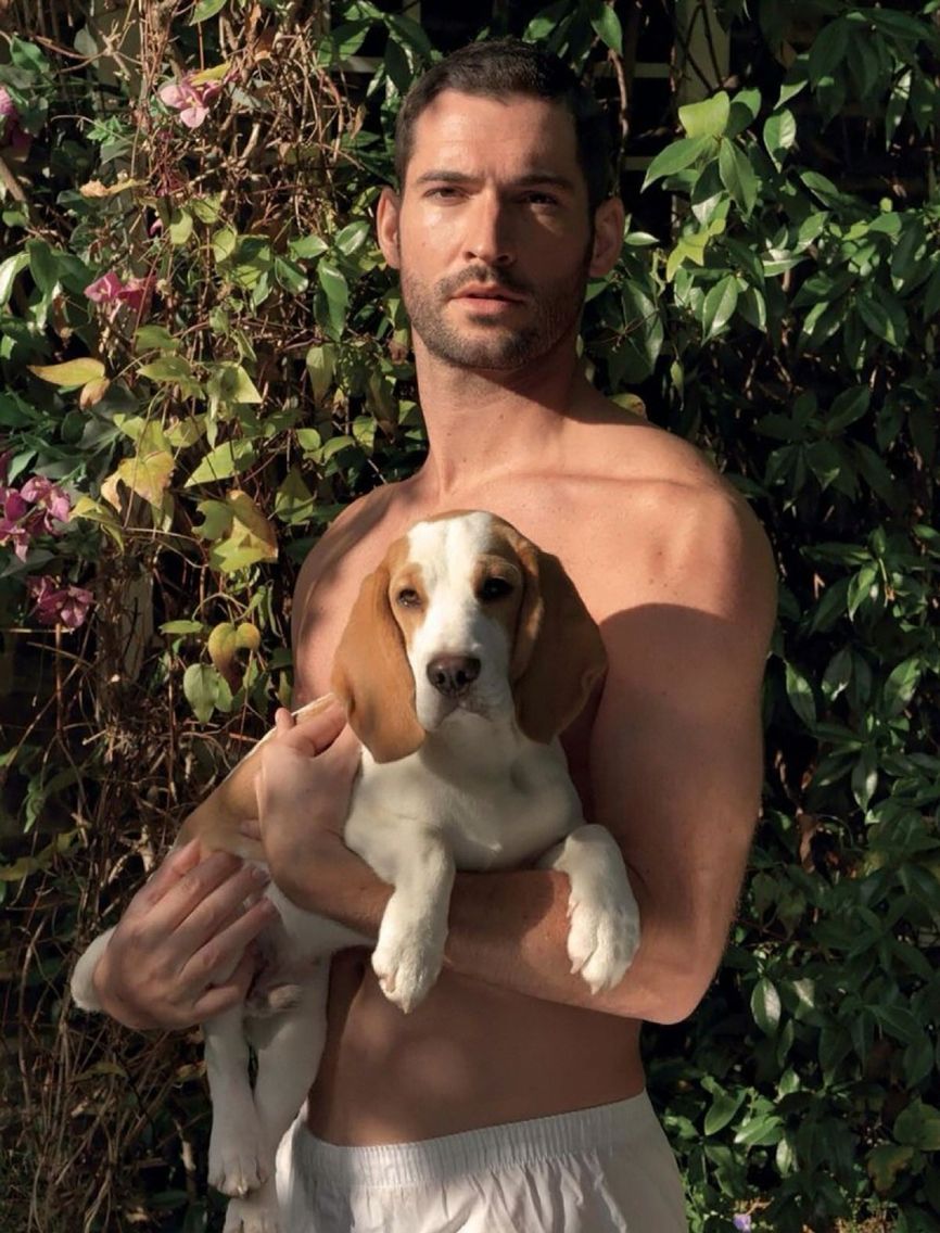 A model with dogs