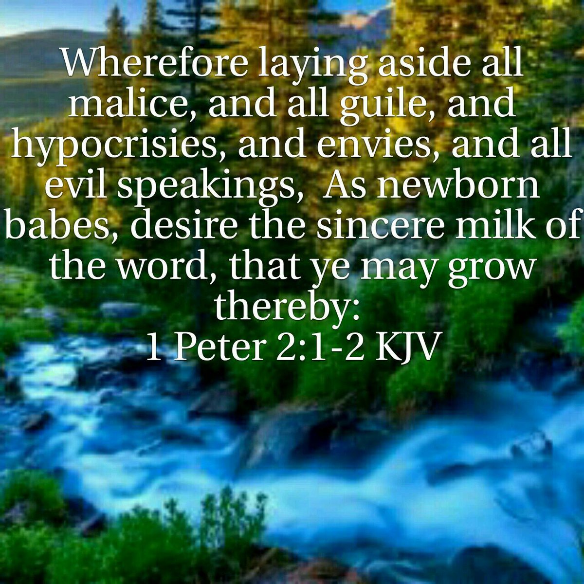 cajegroup's tweet image. Ministry Gossip💔YEP It's a SIN. 1 Peter 2:1 KJV been #guilty #repenting #gossip If you have a concern with a ministry write them a letter before blasting them on www👍 world has enough rebuke/repreof Warriors.We need more Disciple Makers not slef-righteous haters💯🙏🙏🙏🙏🙏❤️❤️