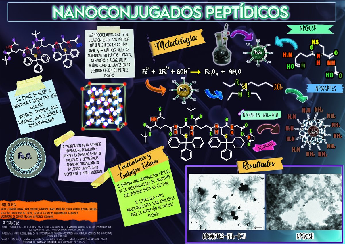 NiyirethNavarro's tweet photo. Hola @LatinXChem  Mi nombre es Niyireth Navarro pertenezco a la Universidad del Tolima- Colombia. Este es mi trabajo titulado "Nanoconjugados Peptídicos" #LatinXChem #LatinXChemNanoMat #Nano158 #nanotechnology #Peptides #Nanoparticles #Magnetite #UT https://t.co/dElH1FDFsw