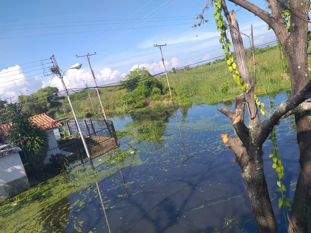 ElPitazoTV's tweet photo. #Aragua | Vecinos de Mata Redonda en Maracay están alarmados porque las aguas aún no han drenado. Denuncian que de las tres bombas de achique solo funciona una y no tiene capacidad #7sep -via @alfmorales72 foro cortesía https://t.co/OIOOyz3QWJ https://t.co/casBAQqxpo