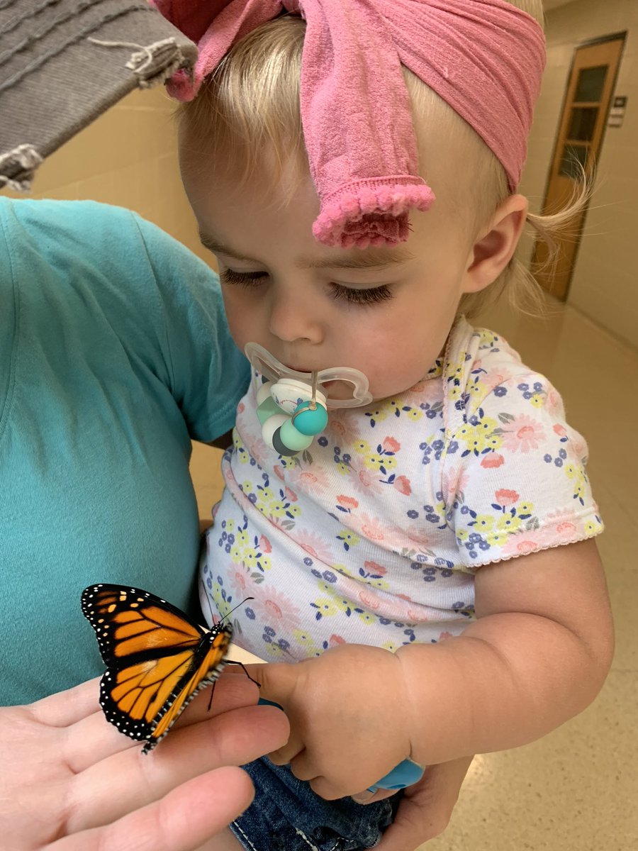 Joshua Wall tweet media