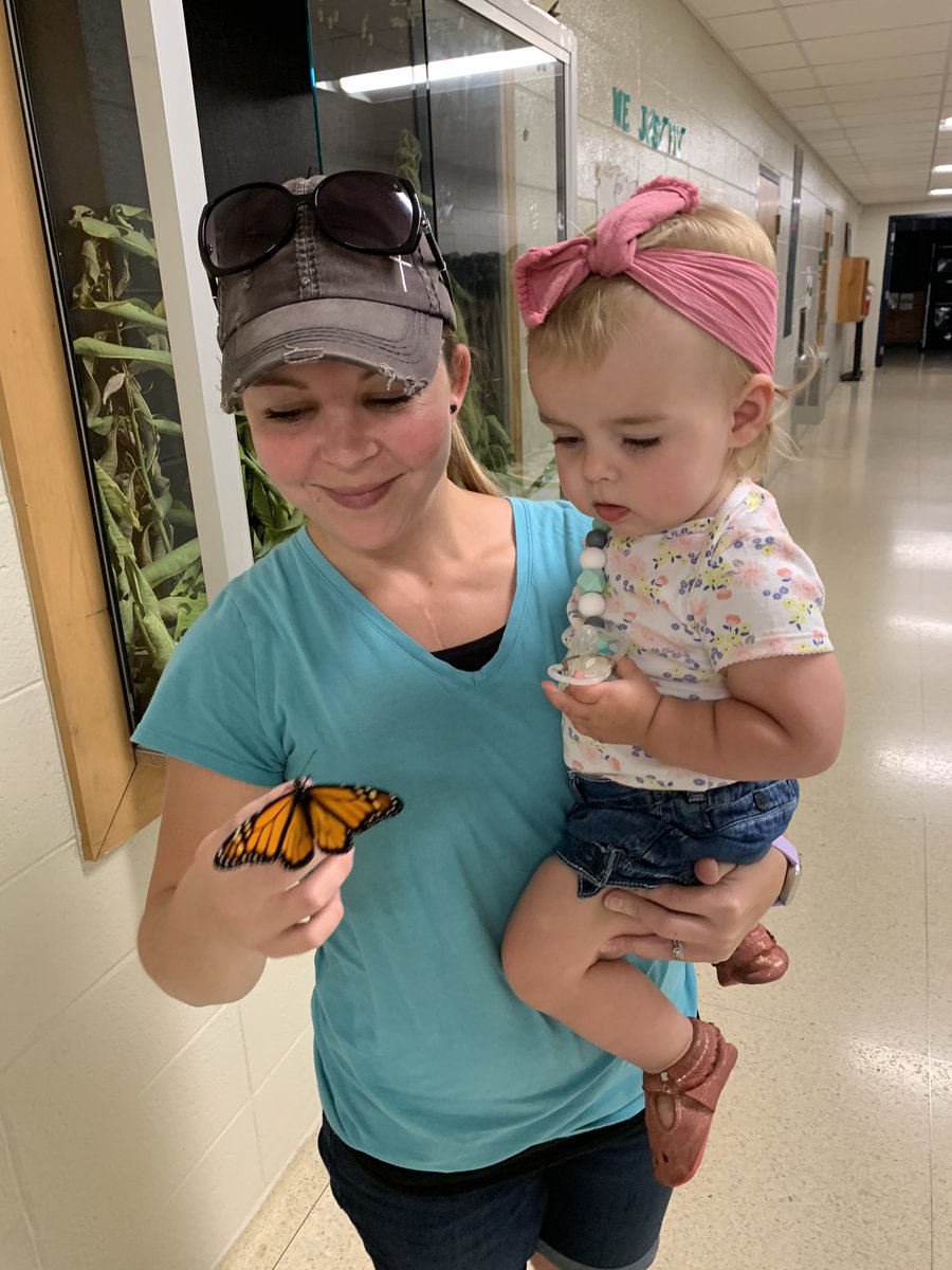 Joshua Wall tweet media