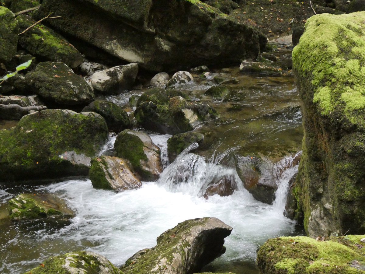 redtestwine's tweet image. ต้นน้ำเกิดในภูเขา ไหลลงมาเรื่อย ก่อนที่จะมาเป็นแม่น้ำ
ก็จะเกิดน้ำตก เล็กตลอดทาง น้ำใสและคิดว่าเย็น
#เที่ยวสวิสแบบทัวร์ไม่พาไป
 
Gorges de l’Areuse #Boudry #Neuchâtel
 #Switzerland