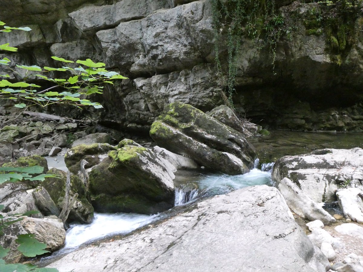 redtestwine's tweet image. ต้นน้ำเกิดในภูเขา ไหลลงมาเรื่อย ก่อนที่จะมาเป็นแม่น้ำ
ก็จะเกิดน้ำตก เล็กตลอดทาง น้ำใสและคิดว่าเย็น
#เที่ยวสวิสแบบทัวร์ไม่พาไป
 
Gorges de l’Areuse #Boudry #Neuchâtel
 #Switzerland