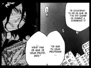 Deux entité, dans un seul Zanpakuto s’unissant pour protéger son possesseur."Ce que tu veux protéger n'est pas ce que je veux protéger"