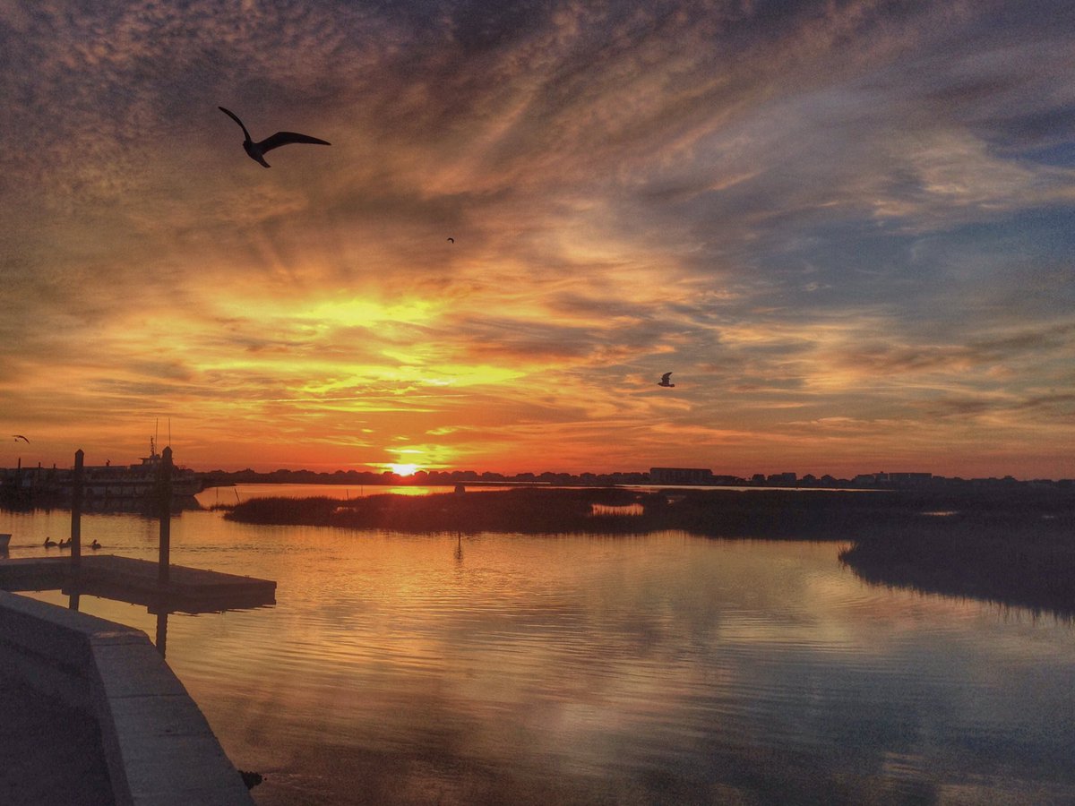 BenCoyPhoto's tweet photo. One of my favorite photos from #MurrellsInlet @Discover_SC. Taken years ago, it still reminds me to stop, breathe, and look around. Hope you can rest and enjoy your day, wherever you are! #HappyLaborDay  #NaturePhotography #sunrise https://t.co/eLqe9mP02X