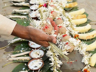 The Pitru ganas come and take the shrardha offerings done during the 16days period. They stay in urdhvaloka or Somaloka. They come onto earth in Manomaya kaya (Kama Rupa - The body of Desire ) & get into the body of the Bhraamanas we invite for feeding.