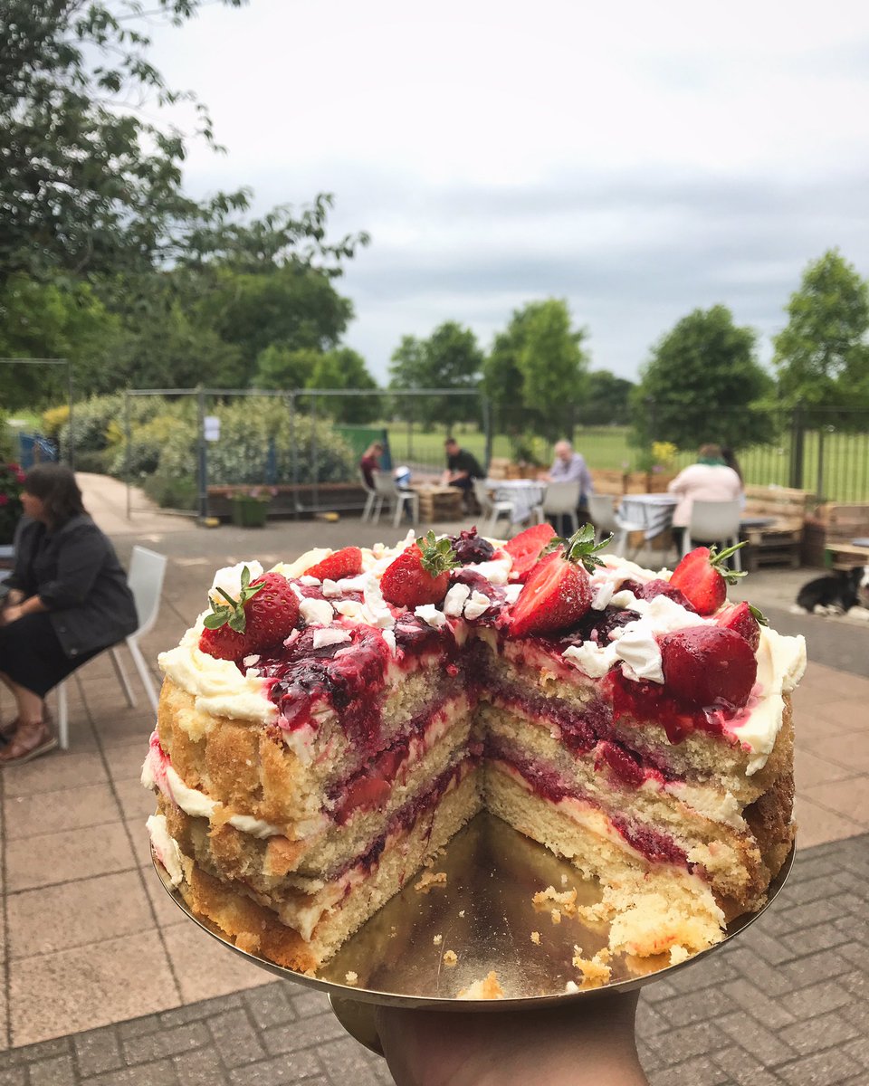 homemadecafe's tweet photo. It’s official, we are totally rubbish at the Twittering!! Please forgive me... insta is more our thing. 
That said hello again old twitter followers. 🙋🏻‍♀️
We are back open Weds to Sun each week, with a fab special offer every Weds &amp; Thurs in September. 💟 https://t.co/A04z2gvcWn