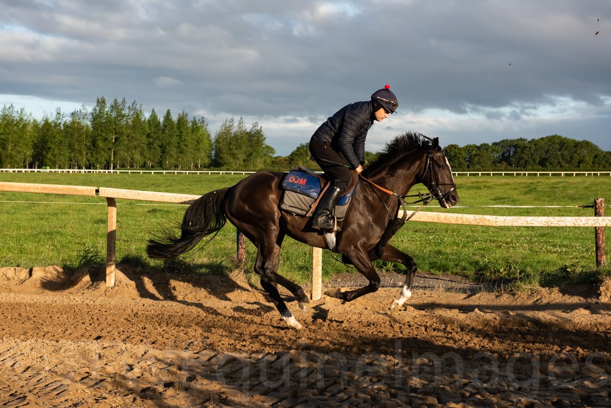 Great to see RESTANDBETHANKFUL make a winning debut for @O_J_murphy91 , @McNeill_Family ,@scottbry and @adrianheskin in the Lodge @PerthRacecourse Standard Open National Hunt Flat Race. Looked fantastic a few weeks back at the yard. Well done all!