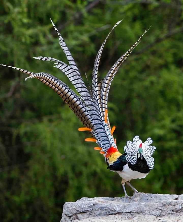 No one paints like God 🙏