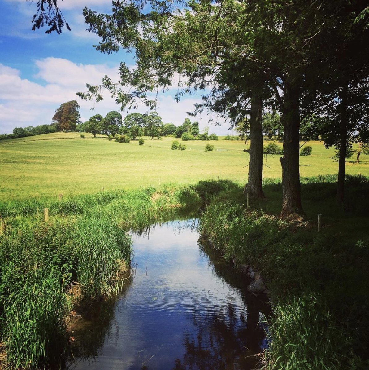 francisxyzk's tweet photo. There’s a Town-Land and Small-Village in #Cavan called Stradone.

Local hearsay suggests that over-seas visitors mispronounce it, “Strad-1.”
Looking at the word, I see that, (it's pronounced: Strad-own).

Looking at the place, I see it's pretty lovely.
#CavanDay #Stradone https://t.co/i6v4dqACEn