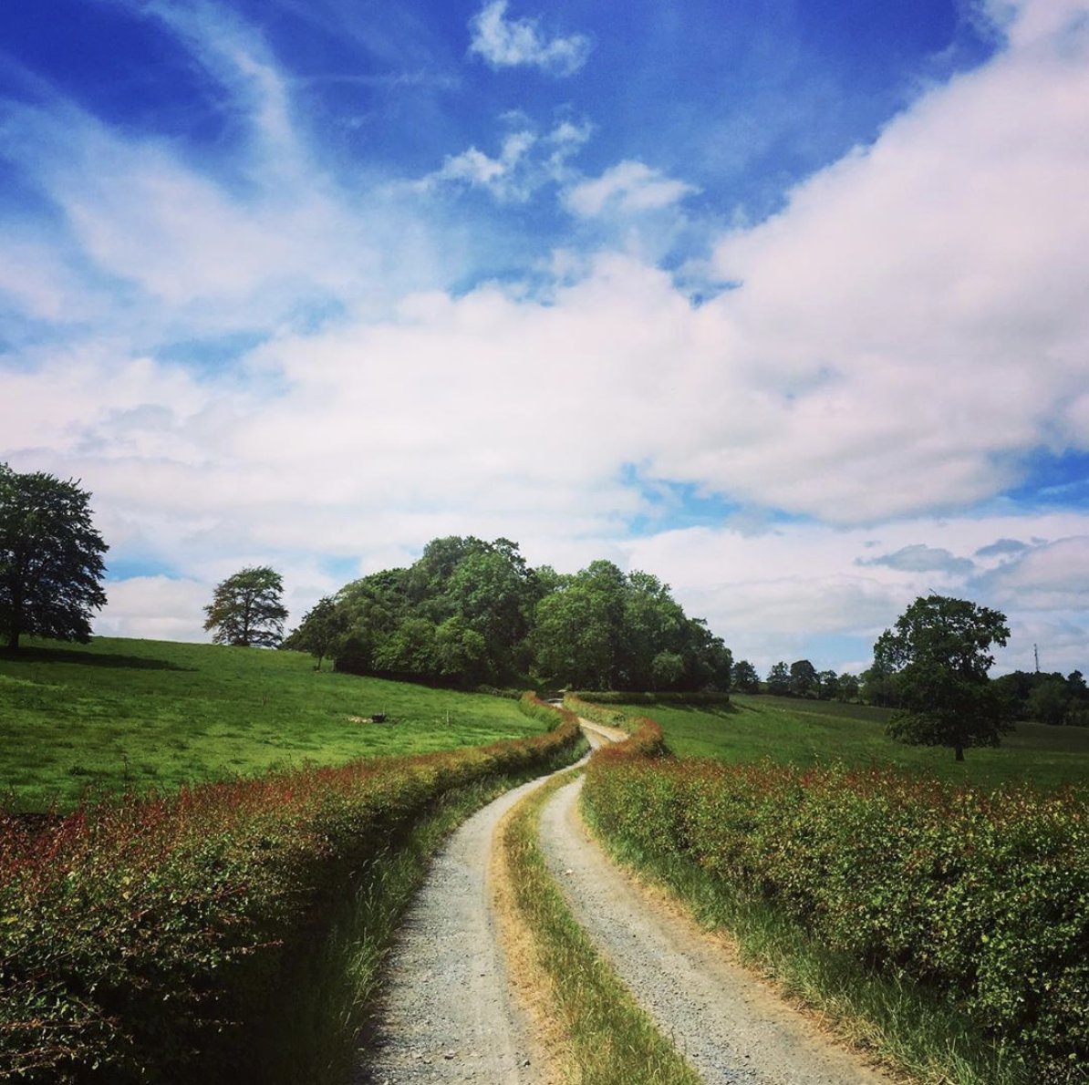 francisxyzk's tweet photo. There’s a Town-Land and Small-Village in #Cavan called Stradone.

Local hearsay suggests that over-seas visitors mispronounce it, “Strad-1.”
Looking at the word, I see that, (it's pronounced: Strad-own).

Looking at the place, I see it's pretty lovely.
#CavanDay #Stradone https://t.co/i6v4dqACEn