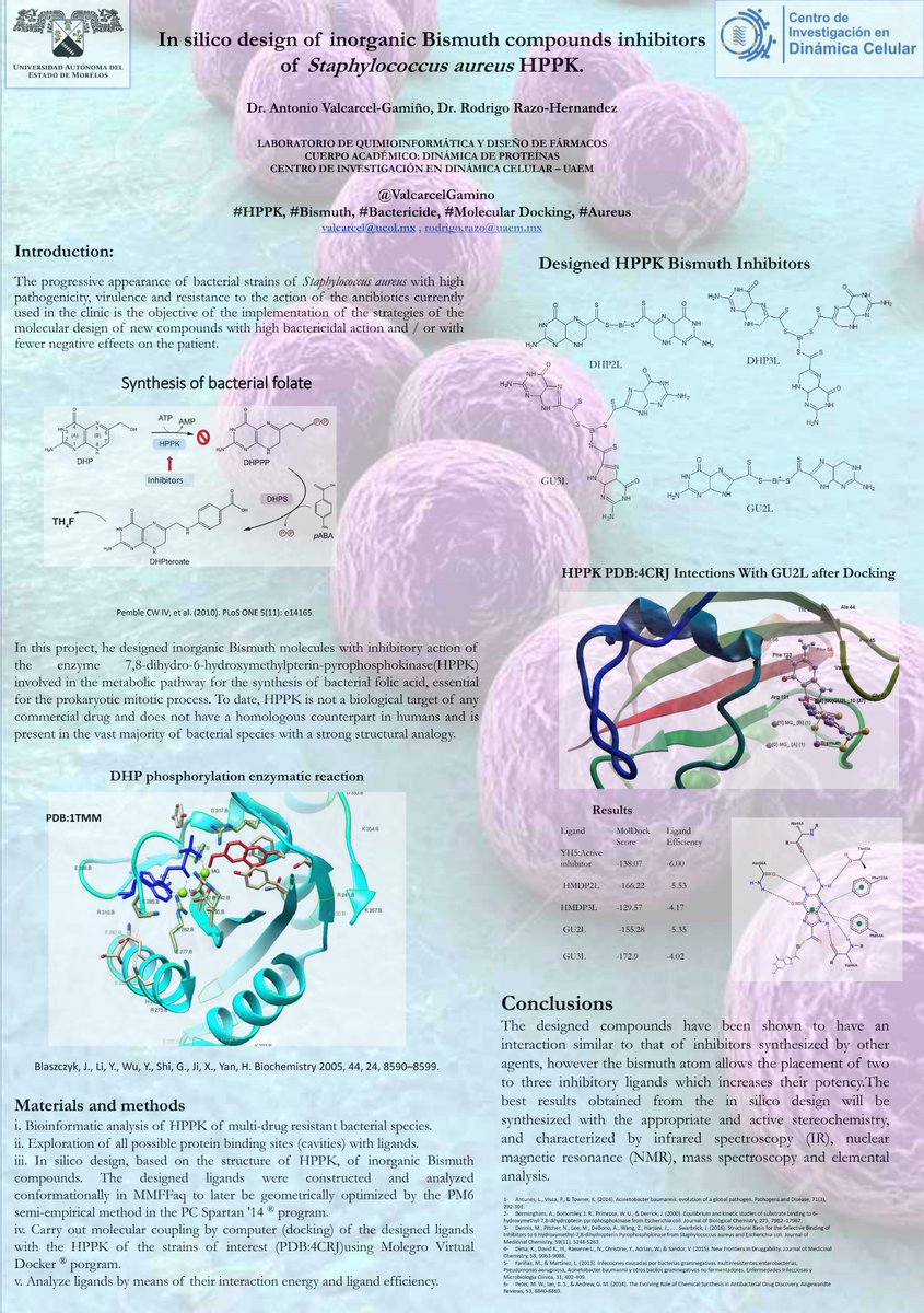 ValcarcelGamino's tweet photo. “Hi @LatinXChem
, this is my work “In silico design of inorganic Bismuth compounds inhibitors of Staphylococcus aureus HPPK”, #LatinXChem #LatinXChemTheo #BIO171 https://t.co/TykM3vqwK8