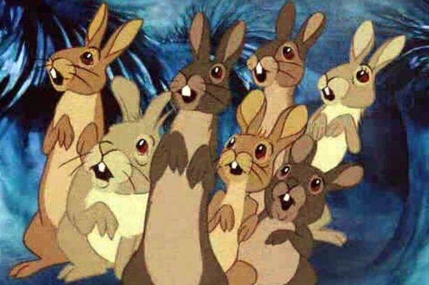 aotdpod's tweet photo. This week on the pod, actor @Bluvband (The Chris Gethard Show, Marvelous Mrs. Maisel, Netflix’s Hollywood) joins us to talk all things Watership down! Link in bio and wherever you get your podcasts! #watershipdown #richardadams #marvelousmrsmaisel #thechrisgethardshow https://t.co/R7e5VPY58D