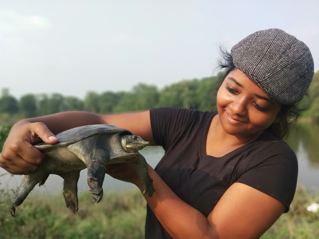 Turtle Survival Alliance INDIA (@tsaindiaprog) on Twitter photo MEET THE TEAM Part 1 - Introducing our youngest field researcher, Sreeparna Dutta. She joined <a href="/TSAINDIAPROG/">Turtle Survival Alliance INDIA</a> in 2019. She is actively involved in the long term #monitoring of #freshwater #turtles in the #Terai arc landscape. MEET THE TEAM Part 1 - Introducing our youngest field researcher, Sreeparna Dutta. She joined <a href="/TSAINDIAPROG/">Turtle Survival Alliance INDIA</a> in 2019. She is actively involved in the long term #monitoring of #freshwater #turtles in the #Terai arc landscape.
