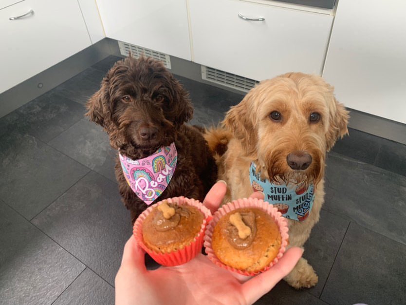 Homemade cupcakes are the best way to start the week! 😋 #HappyDays #MondayMotivation #MondayThoughts #PawBakes