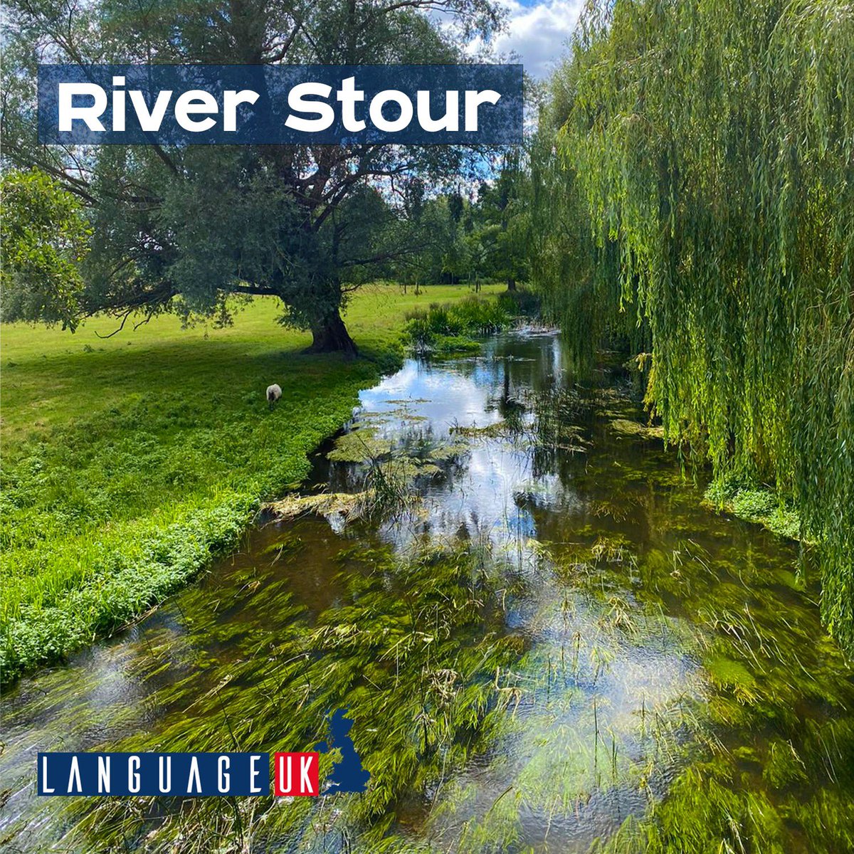LanguageUK's tweet photo. Beautiful countryside just 15 minutes from #Canterbury. Fresh air and open spaces. 🌿
#Mondaymotivation #LanguageUK #EnglishCourses https://t.co/9CLgKDW8VC