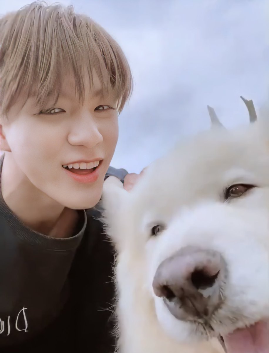 เอาไปปรับชัดมาแล้วน่ารักมาก พิน่อมีแฝด🐶🤍