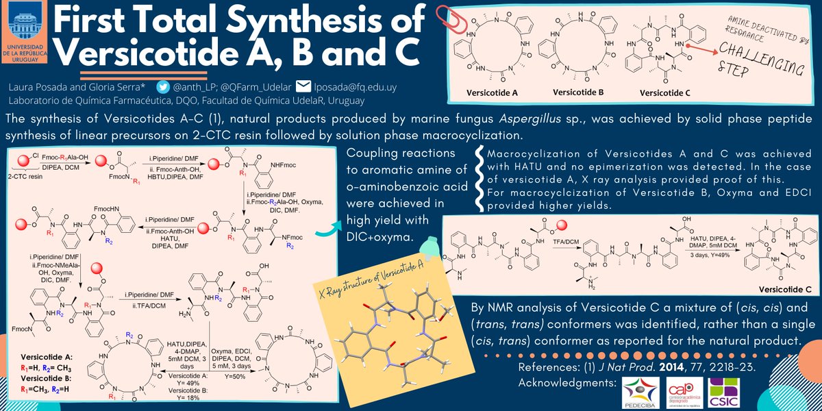 Hi <a href="/LatinXChem/">LatinXChem</a>, this is my work “First Total Synthesis of Versicotide A, B and C”, #LatinXChem #LatinXChemOrg #OC152. This research was conducted at <a href="/QFarm_UdelaR/">QFarm</a> , you can read more about it in this thread👇