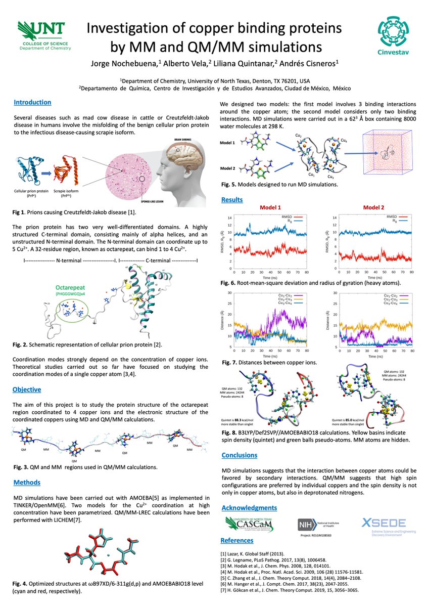 _jnochebuena's tweet photo. Hi @LatinXChem, this is my work “Investigation of copper binding proteins by MM and QM/MM simulations”, #LatinXChem #LatinXChemTheo #Theo171 (some animations below) https://t.co/3aredCrefr