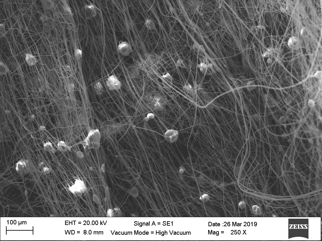 When we see the fibers with iron salt under SEM, we see that 2 things happens, when the solution is just made and electrospun, there isn't any visible particles, if the solution was left more than one night between process some big particles appears: