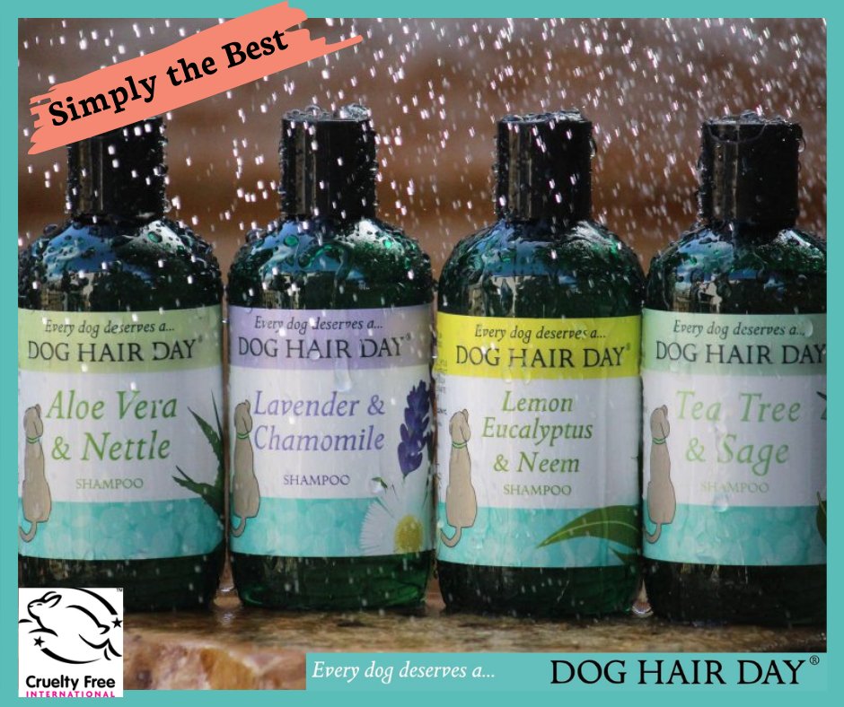doghairday's tweet photo. Simply the best - better than all the rest - could have been written about Dog Hair Day! Treat your best furry friend and you will both agree we are Simply the Best! https://t.co/DVFdTjy7Do #thepetsbiz #everydogdeservesa #cleandogs #healthydogs #herbal #essentialoils https://t.co/UHOcBv9Hsp