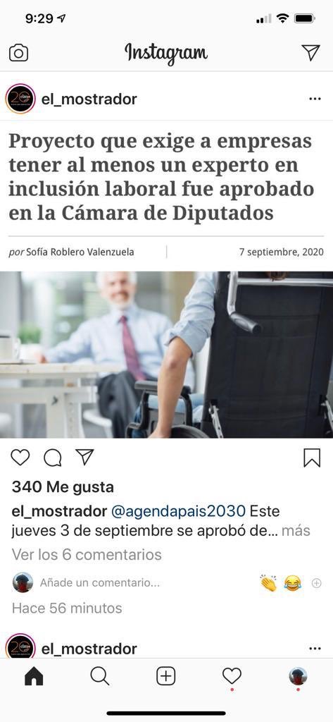 Andrea Zondek tweet media