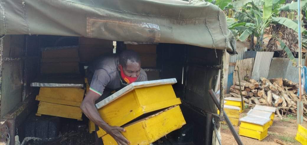 avsi_kenya's tweet photo. their families that will see more than 20 families will benefit from this initiative. #AVSI #PeopleForDevelopment #CooperationProjects #EconomicEmpowerment #CommunityDevelopment #GraduationToResilience #DistanceSupportProgram #Education #Women #Youths #Children #Refugees #OVC https://t.co/ssyOZmbGy7