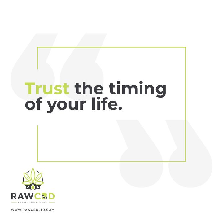 rawcbd's tweet photo. ⁣You are on a personal journey, so make the most of everything 🌿⠀
⠀
Experience our full spectrum &amp; organic CBD drops and get 10% off when you use code: WELCOME10 👋

https://t.co/T7jeCd8lHH 
#cbduk #cbdhealth #cbdcommunity #wellbeing #mondaymotivation https://t.co/LRZLENy7ks