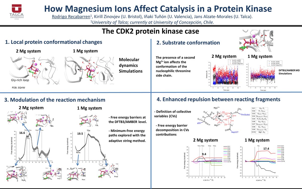 Hi <a href="/LatinXChem/">LatinXChem</a> participants this is my work titled "How Magnesium Ions Affect Catalysis in a Protein Kinase". This work was part of my PhD thesis at <a href="/UTalca/">Universidad de Talca</a>. 
#LatinXChem #LatinXChemTheo #THEO060