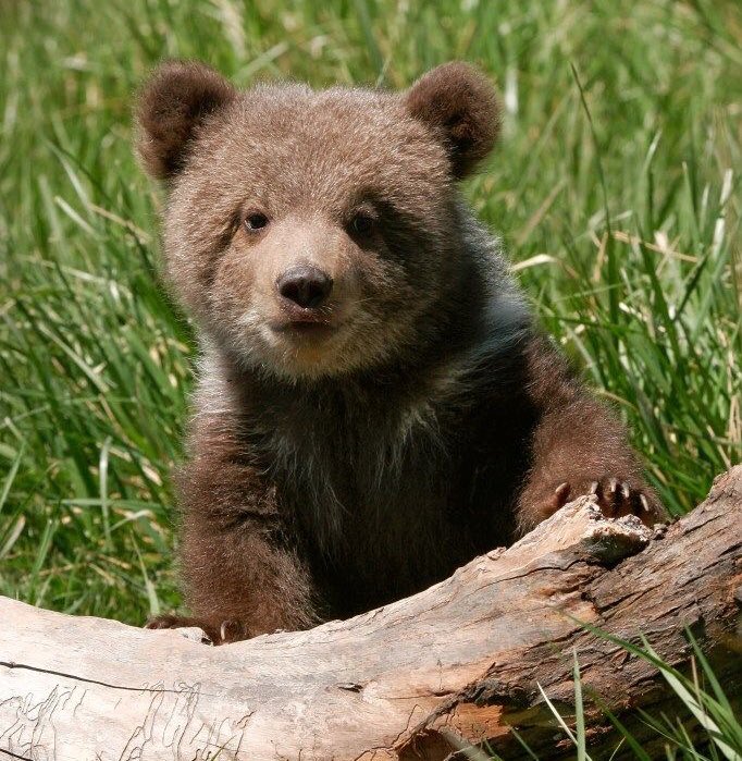 เจโน่                               แจมิน
จีซอง                              แฮชาน