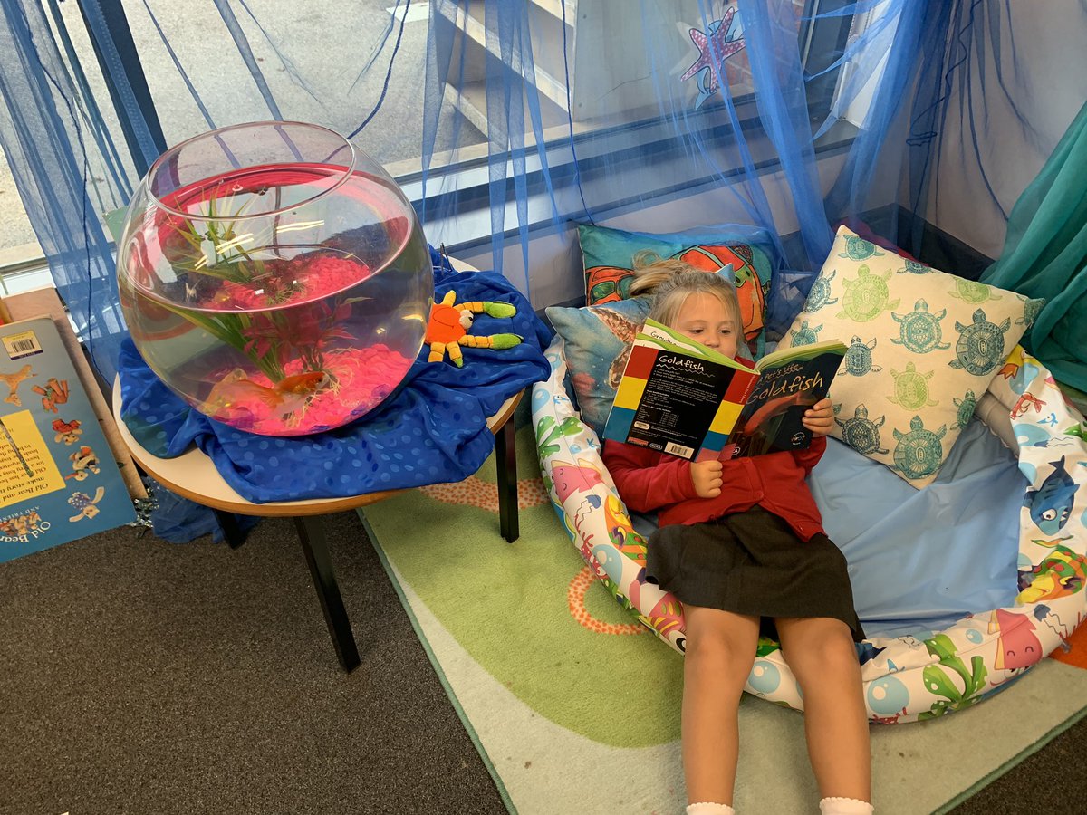 mitchellyear1's tweet photo. During provision time, this little one enjoyed learning all about fish by sharing the non-fiction book with Miss Shirt #petfish #schoolfish @JosephLockePS https://t.co/RbpAKSdB4y