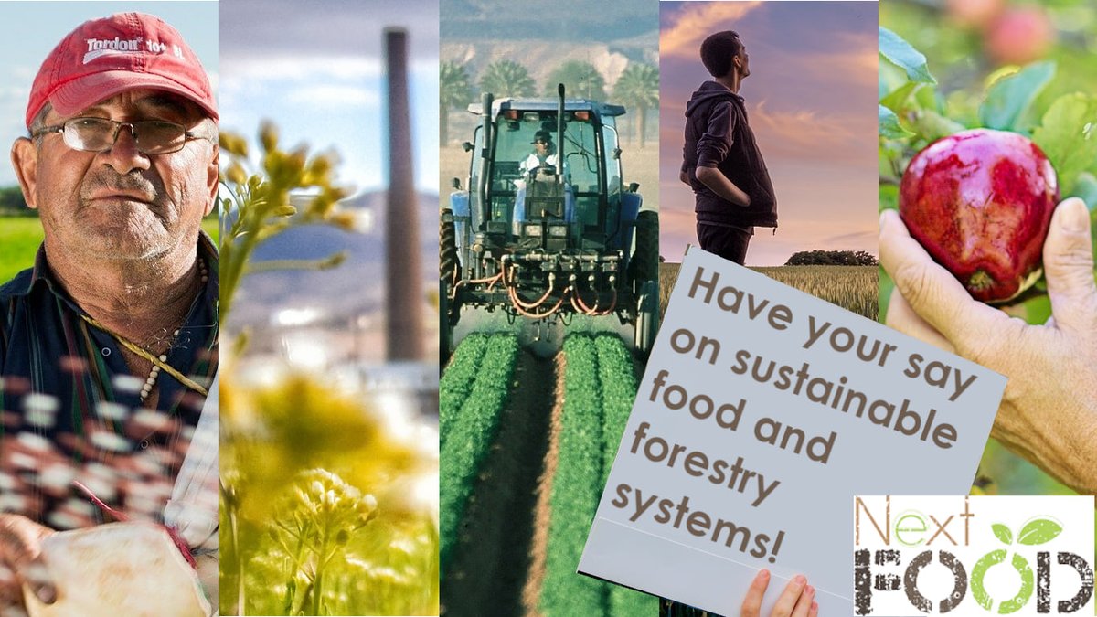 Help us to improve education and skill development in agrifood and forestry. 
Take 10 minutes to answer the NextFOOD ❓questionnaire, available in several languages.
pollenzo.eu.qualtrics.com/jfe/form/SV_eP…
Your opinion matters!👍
platform.nextfood-project.eu…