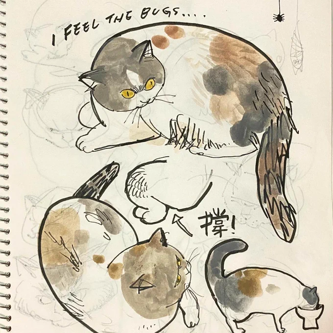 Day 216-219 

#catsketch #365daychallenge #sketchbookdrawing 