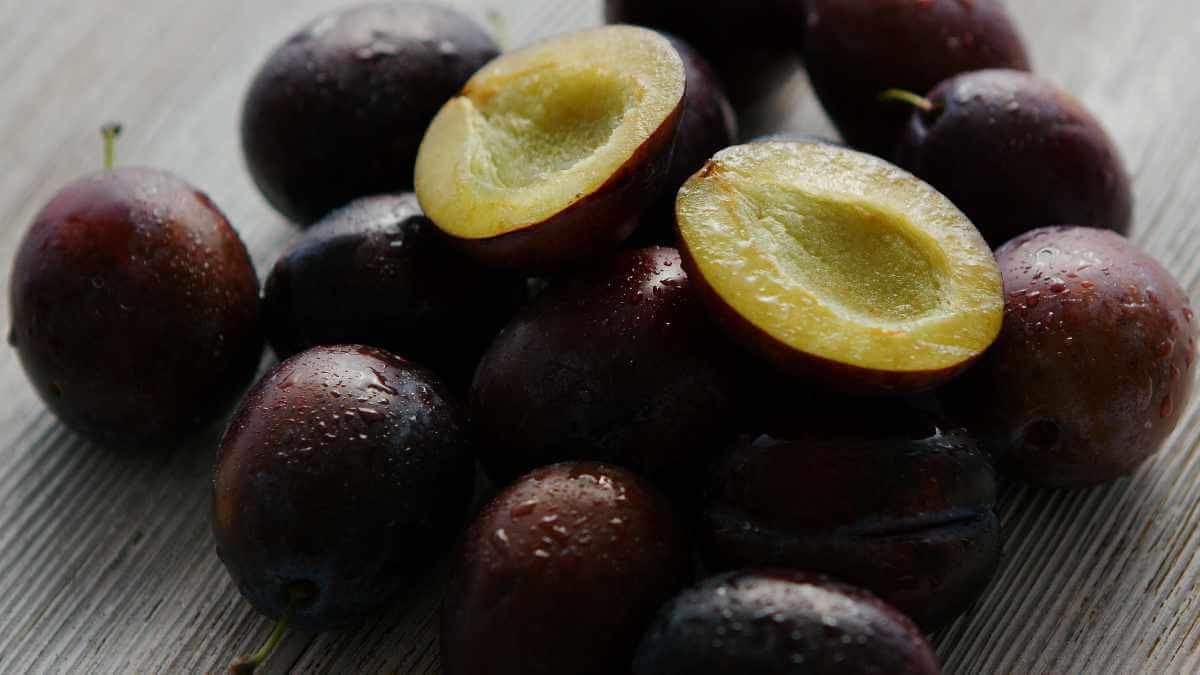hortus_london's tweet photo. Plum wine is brewing, the crumbles are coming thick and fast but here are some alternative recipes for any of you drowning in a deluge of plums! https://t.co/adFLvEwc2A #SeasonalRecipes #SeptemberRecipes #PlumRecipes #Plumpocalypse https://t.co/CdAiISRDvc